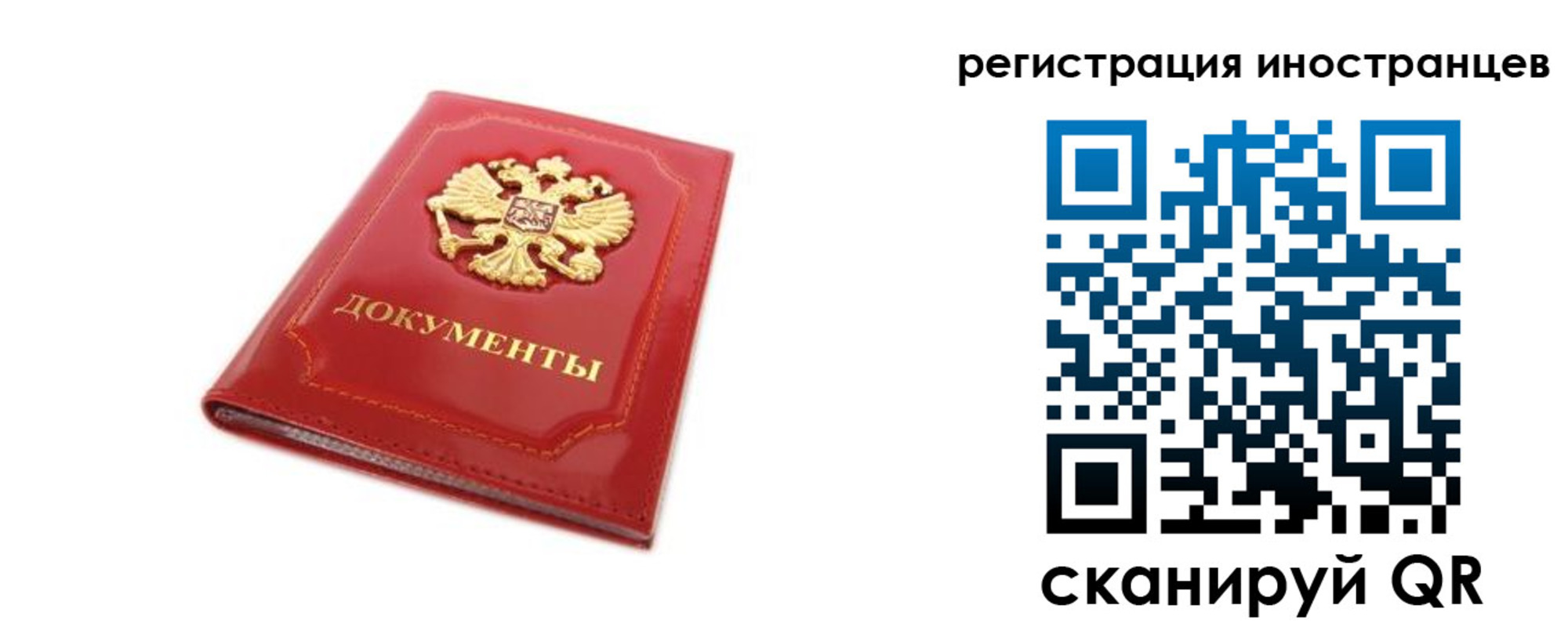 временная регистрация для всех в Светлограде
